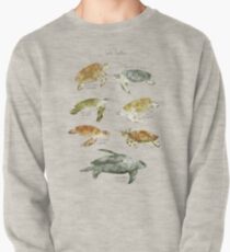 Sudadera cerrada Tortugas de mar