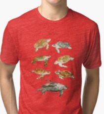 Sea Turtles Tri-blend T-Shirt