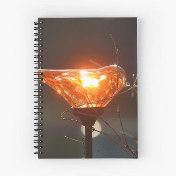 Item preview, Sunbird designed and sold by Bob Hardy.