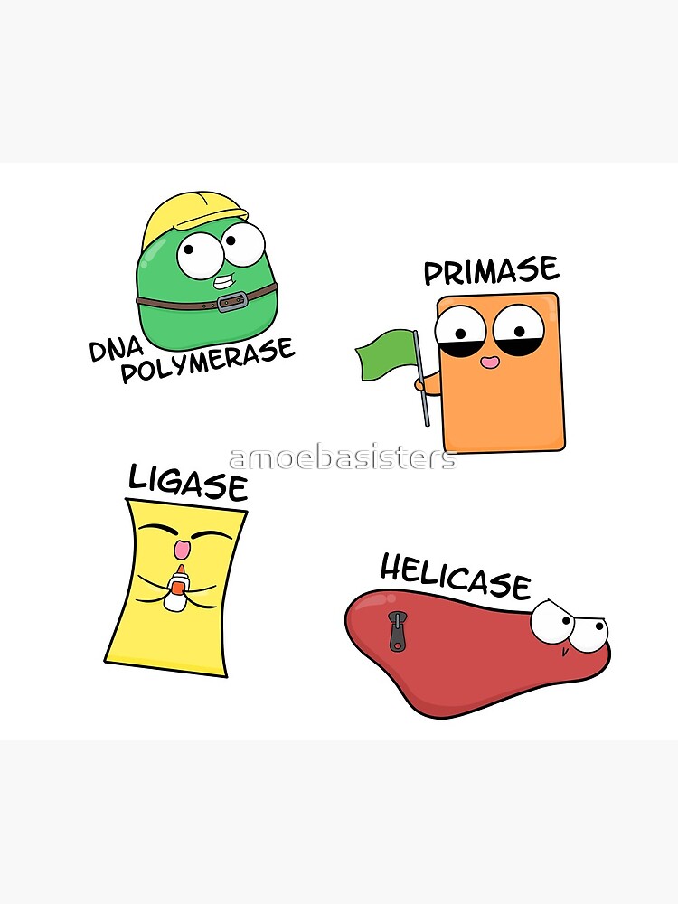 DNA Replication Players by amoebasisters