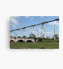 Affected Nature Canvas Print