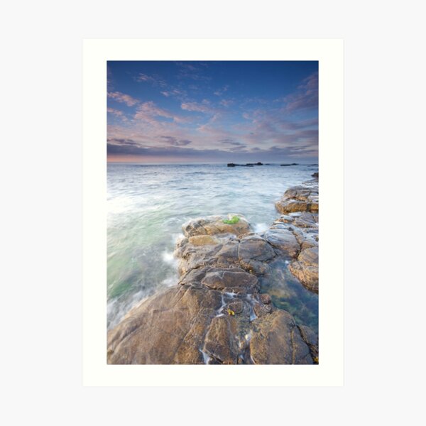 Tropical Art Print