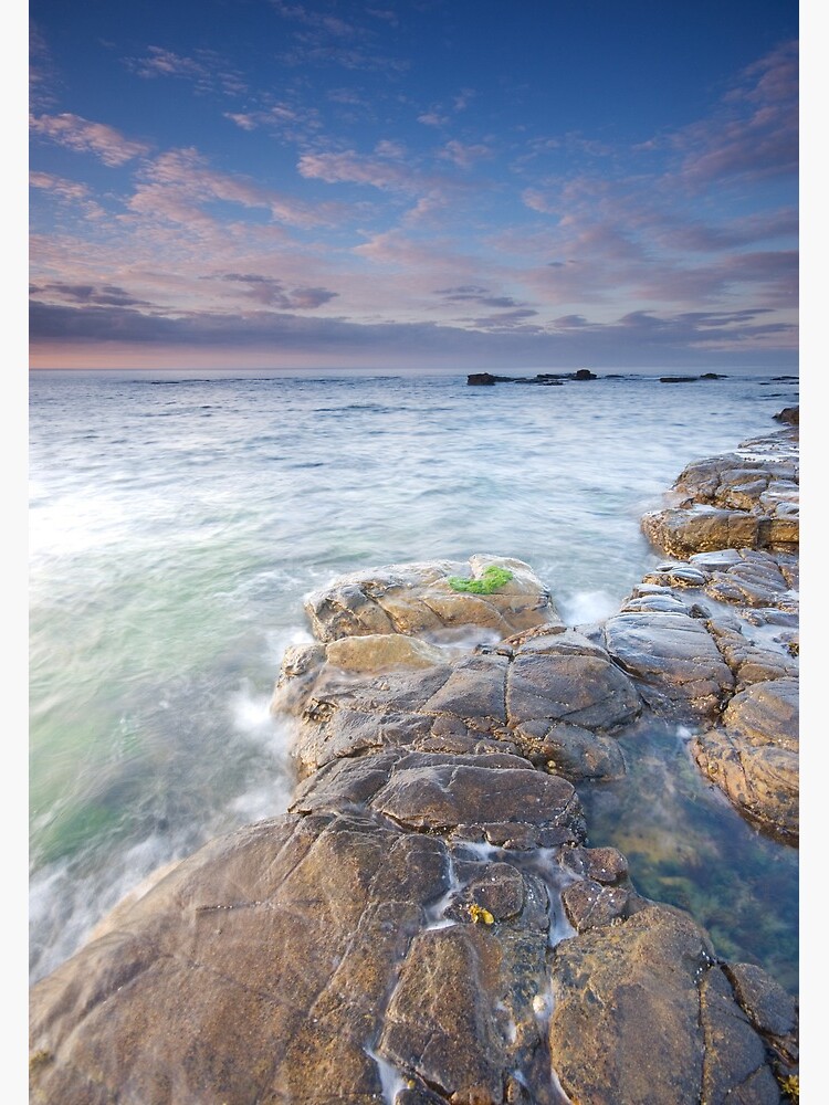 Thumbnail 3 of 3, Canvas Print, Tropical designed and sold by james thow.