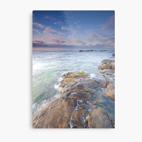 Tropical Metal Print