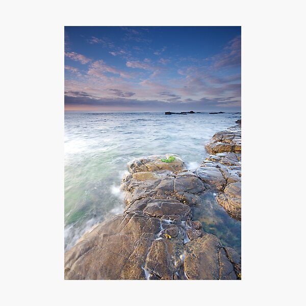 Tropical Photographic Print