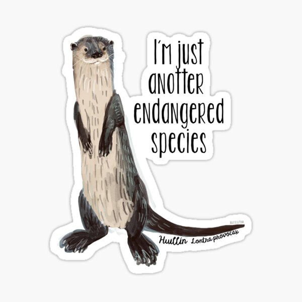 Huillin river otter 1 Sticker