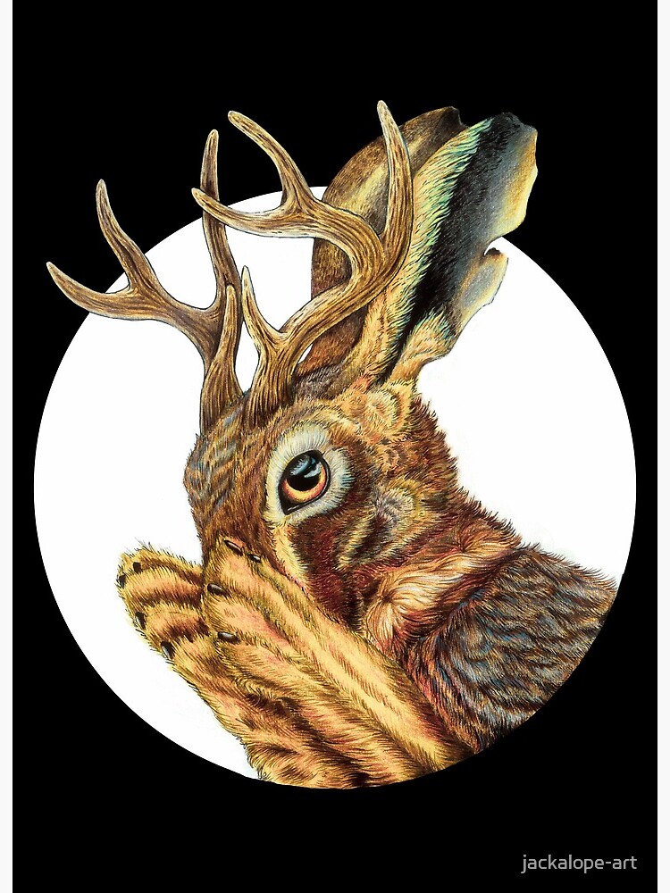 Danger Jackalope Art