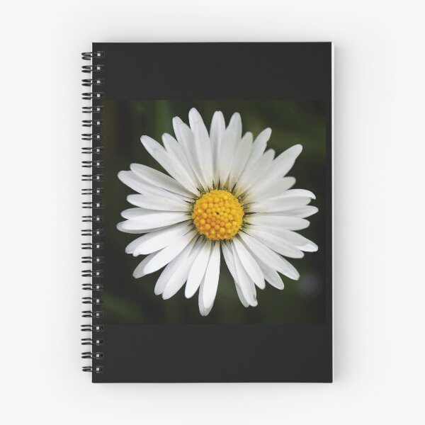 Item preview, Daisy designed and sold by Angela Watts.