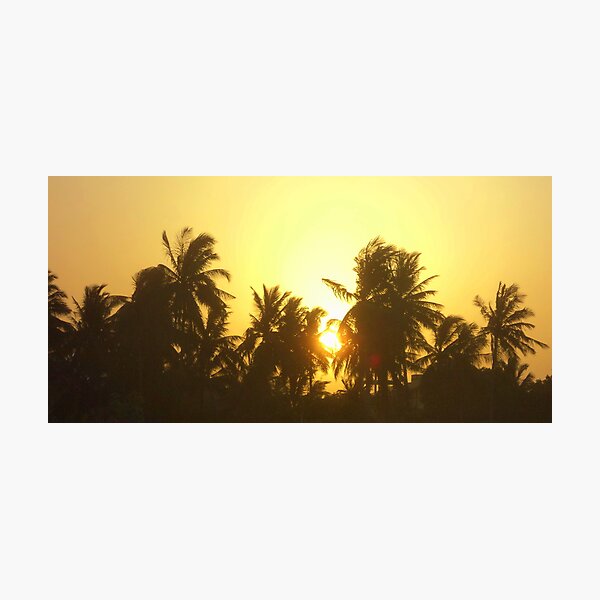 Item preview, The sunset silhouette designed and sold by Varun Tyagi.