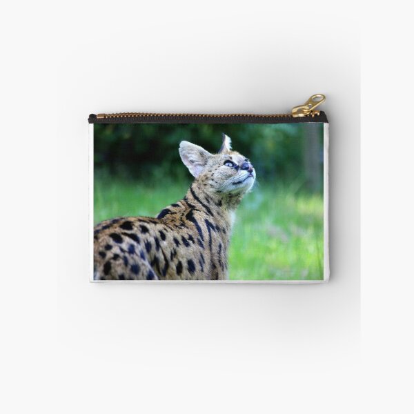 Item preview, Look Up designed and sold by GL-Reflections.