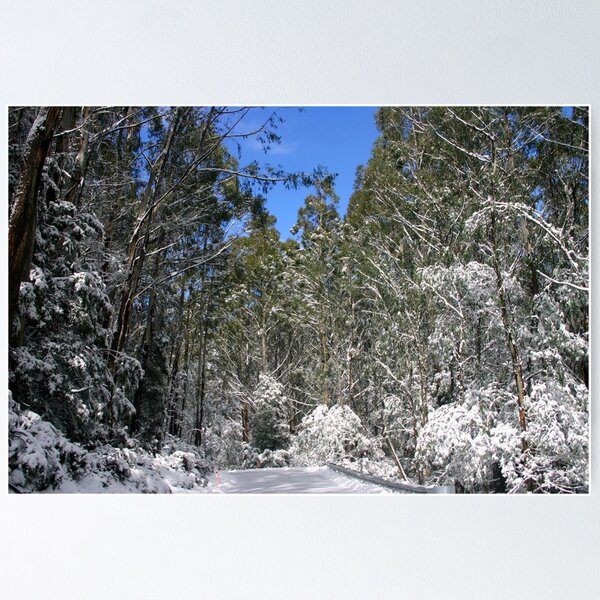 Item preview, The road to the Summit of Mt.Baw Baw designed and sold by cjcphotography.