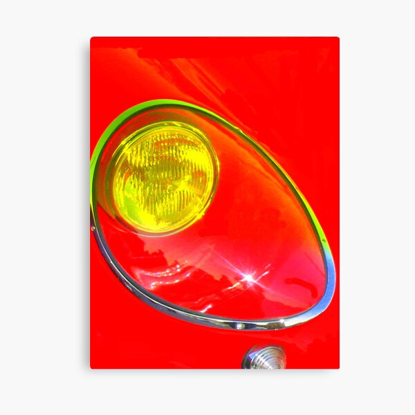 e-type Canvas Print