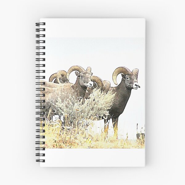 Item preview, Western Wildlife, the Bighorn Sheep of British Columbia designed and sold by colorfulbundles.
