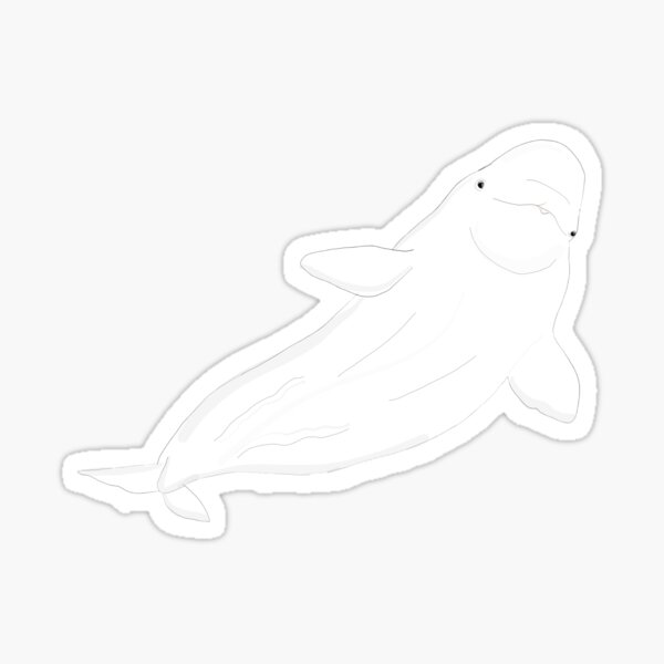 Beluga Whale Swimming Sticker by katdrawsit for iOS & Android