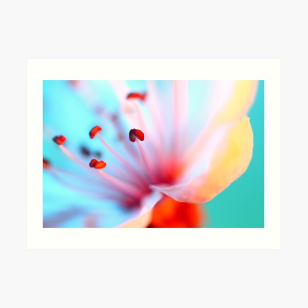Blossom In Blue Art Print
