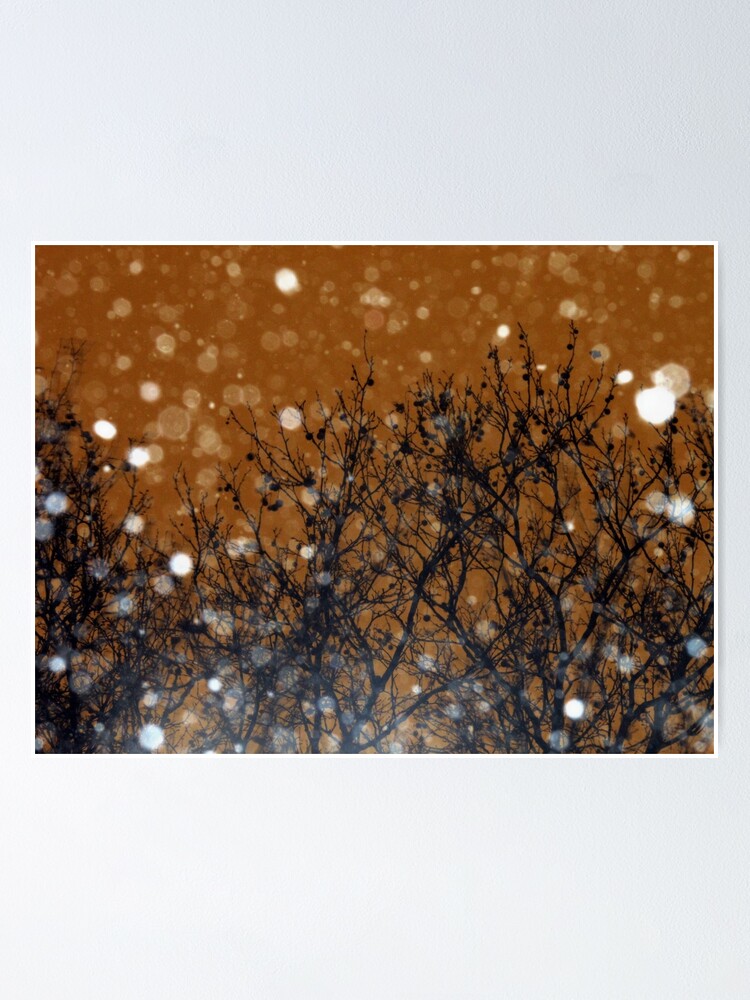 Alternate view of Height of the Blizzard - Snowstorm Art Photography - Gift for Weather Lovers Poster
