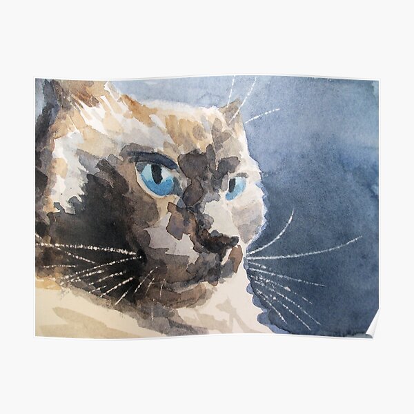 Ari, a cat Poster