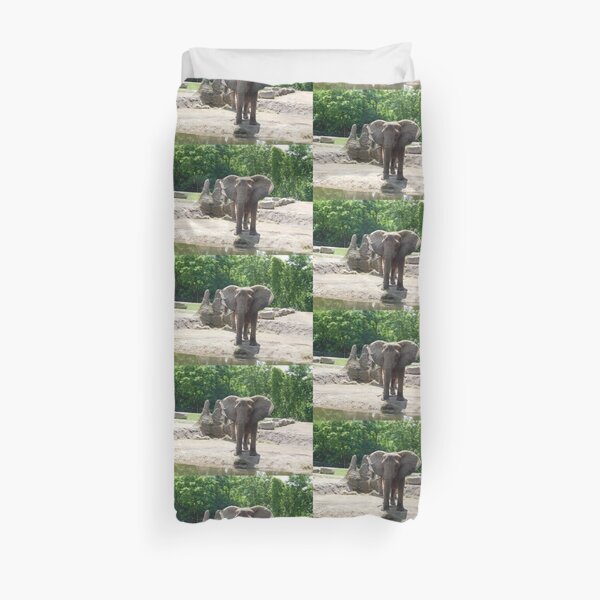 Elephant photograph 110 Duvet Cover