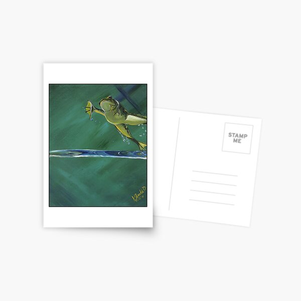 Frog Fly Postcard