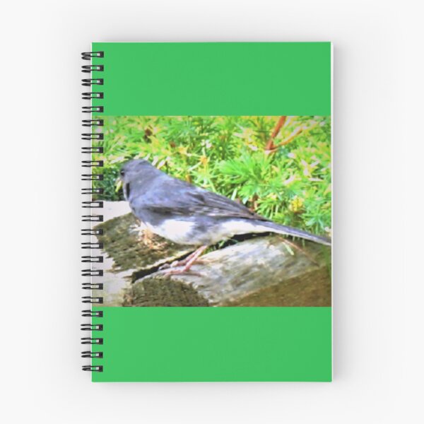 Item preview, Carolina bird in the juniper designed and sold by B. Randi Bailey.