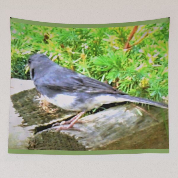 Item preview, Carolina bird in the juniper designed and sold by B. Randi Bailey.