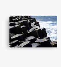 The Giant's Causeway Canvas Print