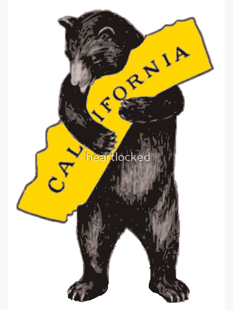 Vintage California Bear Hug Illustration by heartlocked