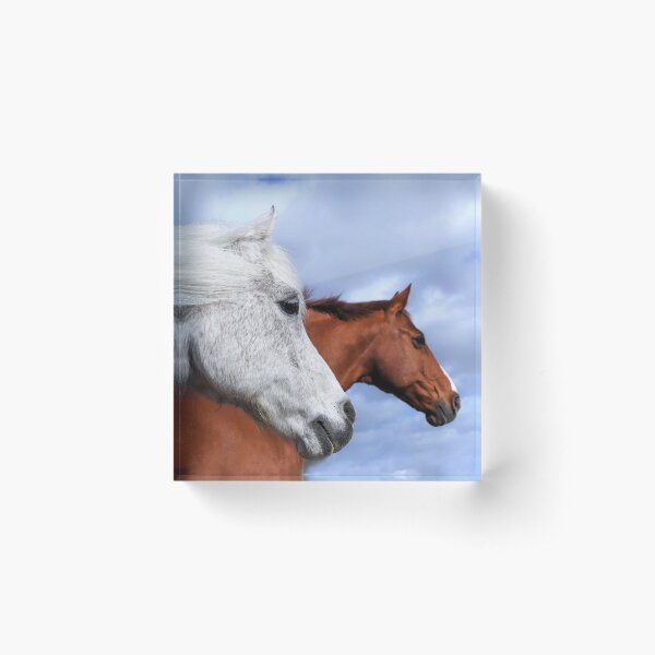 Item preview, Spirit of the Horse designed and sold by Angela Watts.