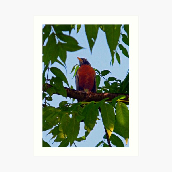 Proud Papa Art Print