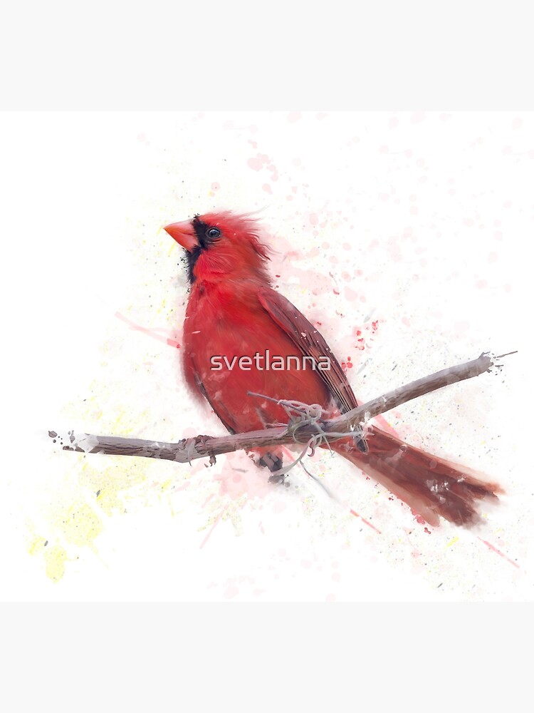 Nature Digital Print Cardinals Blue Bird Golden Finch 