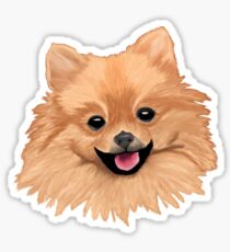 Pomeranian Sticker