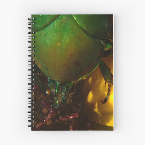 Item preview, 272 Green Shield Stink Bug designed and sold by ptosis.