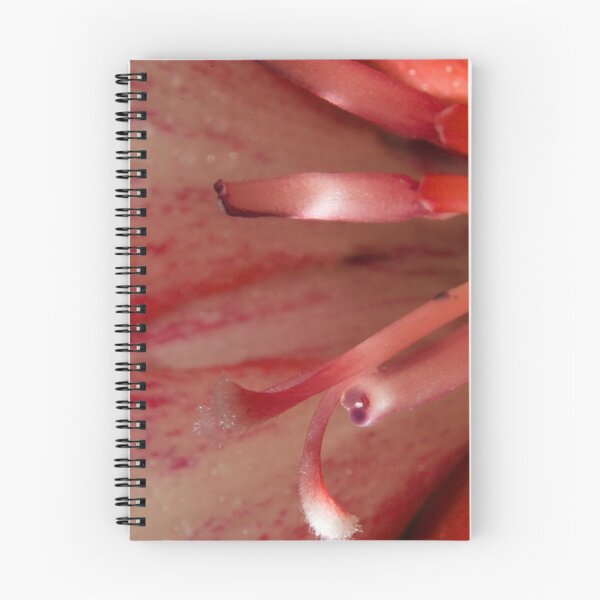 Item preview, 273 Red Iris designed and sold by ptosis.