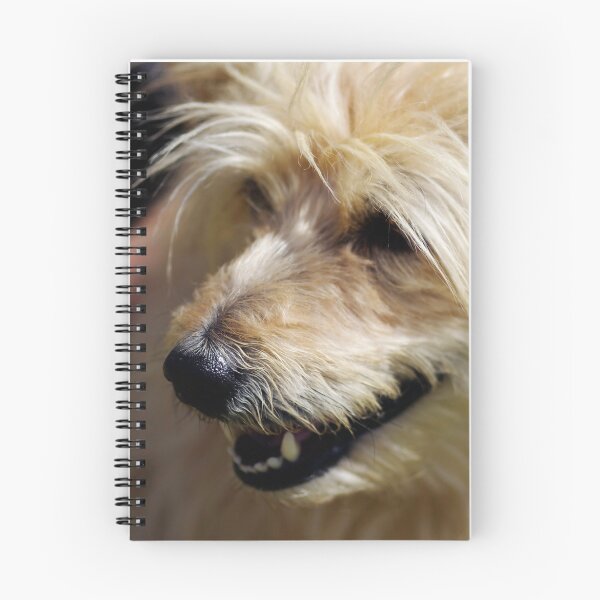 Item preview, Dog Dog designed and sold by Clare Colins.