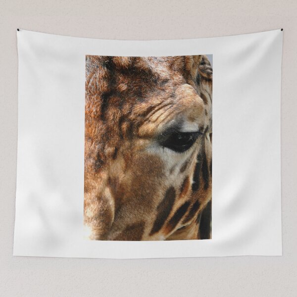 Item preview, African Giraffe Amelopardalis Giraffa designed and sold by AndyEvansPhotos.
