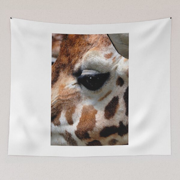 Item preview, African Giraffe Amelopardalis Giraffa designed and sold by AndyEvansPhotos.