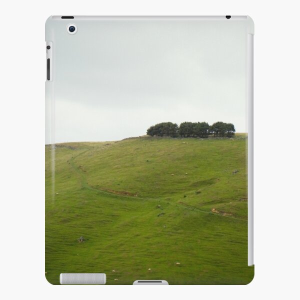 On the ridge iPad Snap Case