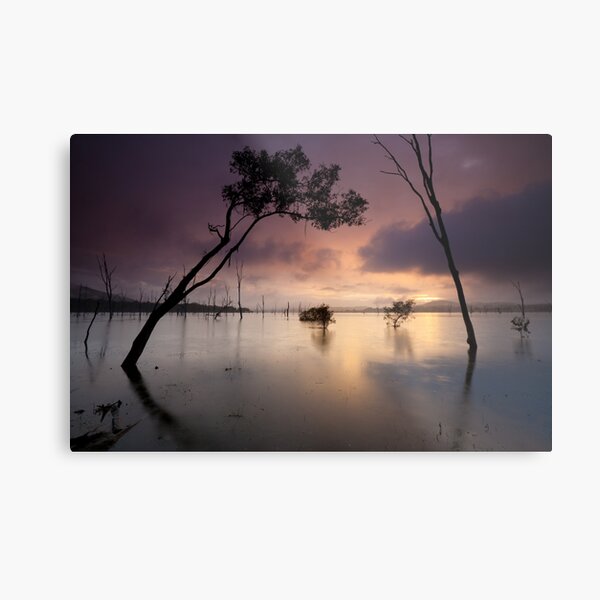 Flooded valley Metal Print