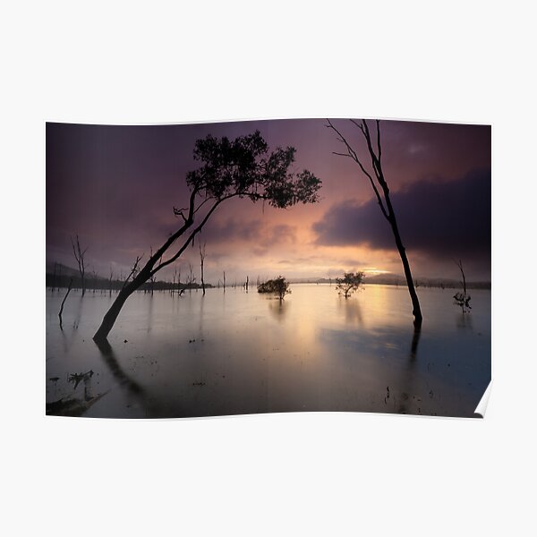 Flooded valley Poster