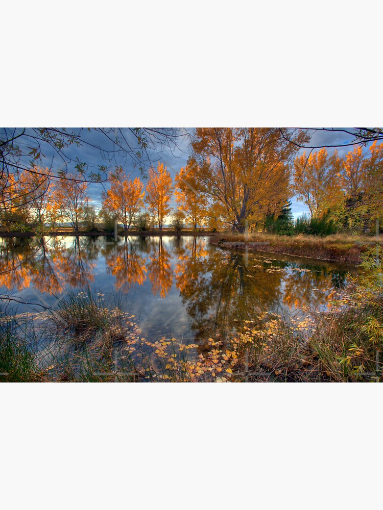 Autumn in Otago County by MelBrackstone