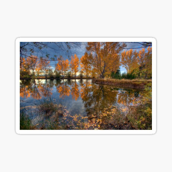 Autumn in Otago County Sticker