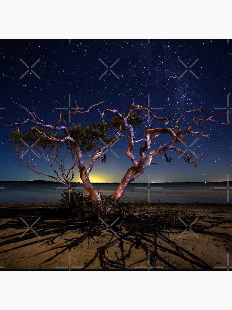 The tree by MelBrackstone