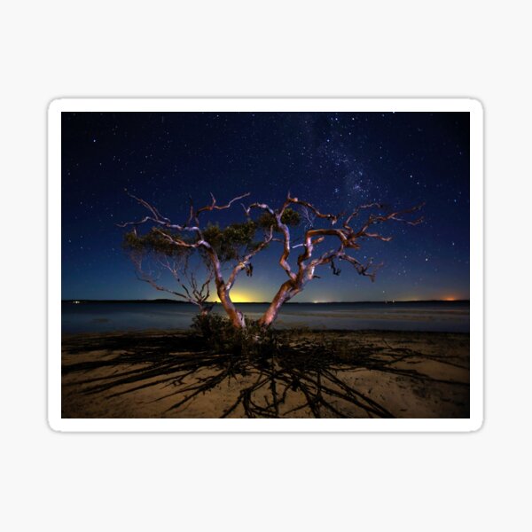 The tree Sticker