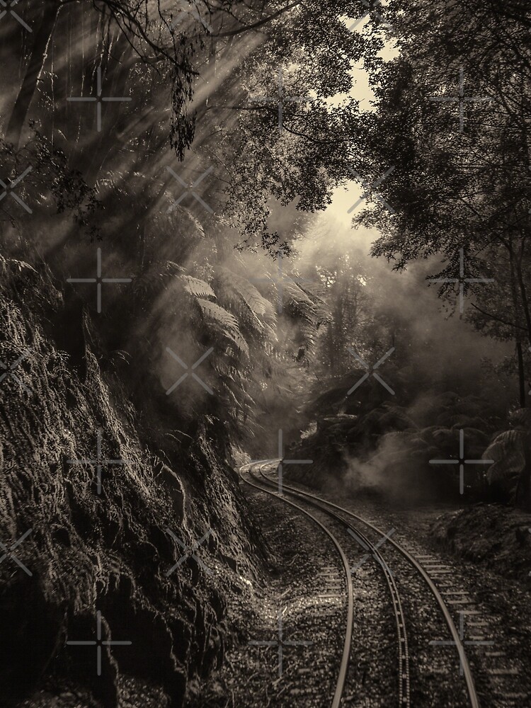 Steam and rainforest by MelBrackstone