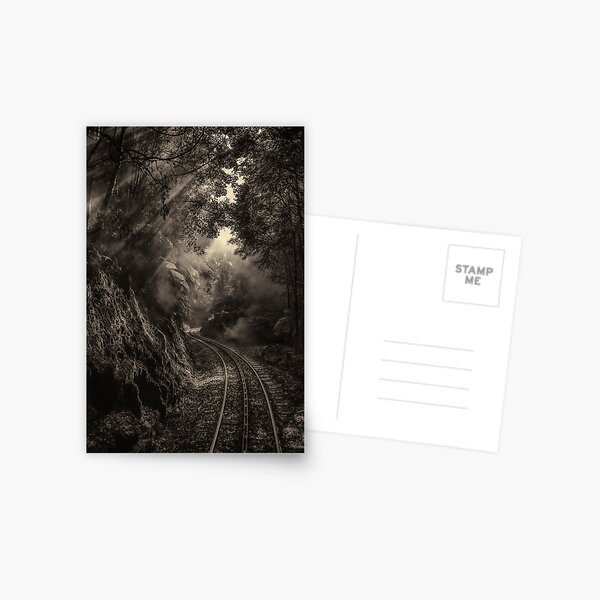 Steam and rainforest Postcard