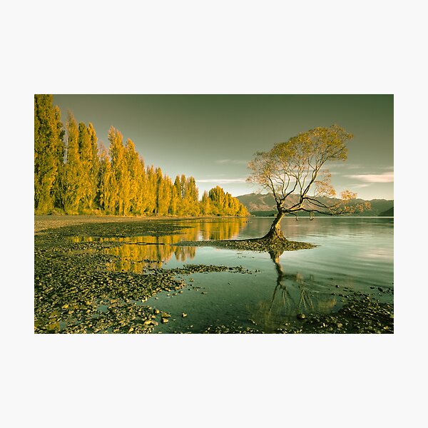 The Lake Photographic Print