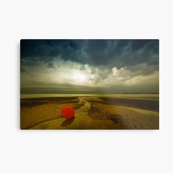 The Lost Umbrella Metal Print