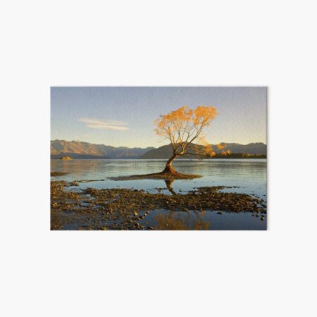 Morning glory Art Board Print