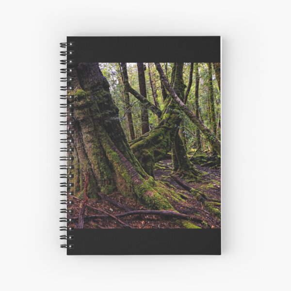 The clearest way to the Universe is through a forest wilderness Spiral Notebook