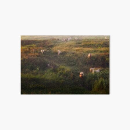The cows Art Board Print